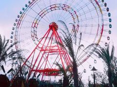 -芽庄珍珠岛游乐园