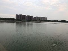 -映月湖中央公园