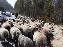 -西宁南禅寺-法幢寺