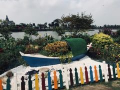 -荷兰花海