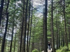 -芦芽山旅游度假区