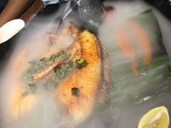 -雀舞云南菜(乐客城店)