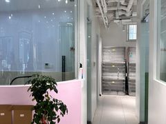 -小呆的宠物店·宠物售卖·宠物寄养(城西店)