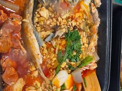 -黑猫馋纸包鱼(阳光店)