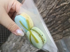 -3A07逆爱杯子蛋糕