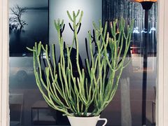 -收获咖啡HARVEST RESERVE(苍山店)