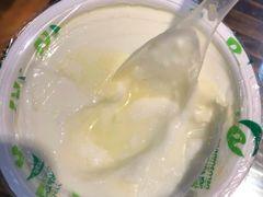 -德禄酸奶(莫家街店)