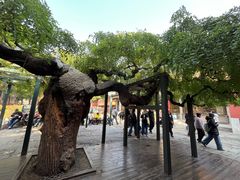 -门框胡同百年卤煮(新街口店)