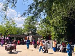 -大槐树寻根祭祖园