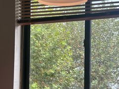 -橘酱餐厅
