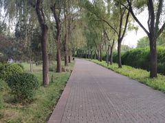 -洛阳市隋唐城遗址植物园