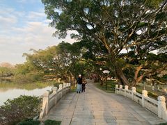 -江心屿景区