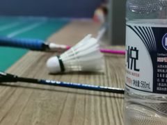 -DC动创羽毛球馆YONEX(双联馆)