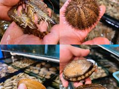 -小铜锣湾海鲜家常菜馆(河西店)