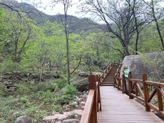 -大岭沟猕猴桃谷风景区