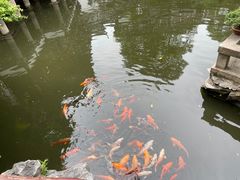 -豫园