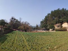 -韶山毛泽东同志故居