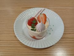 -猫里有甜