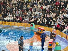 -海合安武汉极地海洋公园