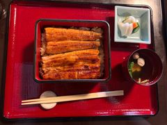 -料亭菊水楼