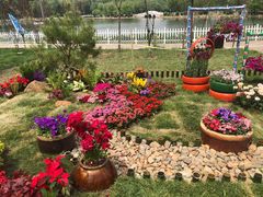 -长春市南湖公园