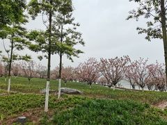 -金海湾滨江公园