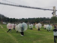 -武汉紫薇都市田园