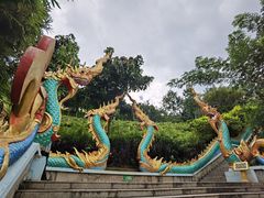 -西双版纳勐泐文化旅游区