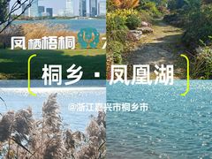 -桐乡凤凰湖