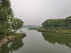 -大兴滨河森林公园