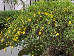 -钱穆钱伟长故居