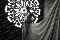 -iplus爱家高端孕妇摄影