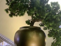 -新白鹿餐厅(金鹰新街口店)