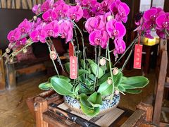 -心足私家足疗SPA(海岸城店)