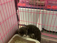 -味妙烤鱼吧(回龙观店)