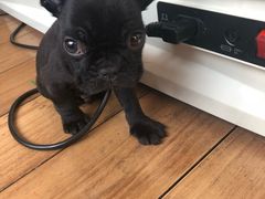-天之道足浴(阳光100店)