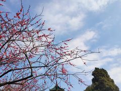 -无锡梅园公园