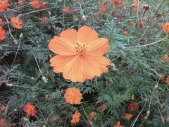 照片0685-月亮河温泉度假酒店