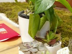 -饵块食光·云南有机手作饵块