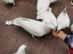 -王府井奥莱临潼小镇(临潼店)