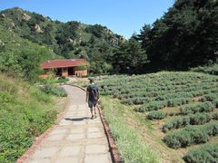 -云峰山自然风景区