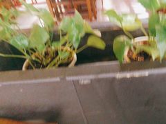 -渔港烤鱼(中百广场店)