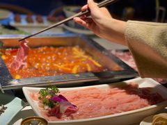 -二荆条·蜀鲜汇城市森林火锅