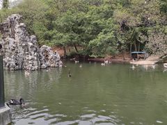 -合肥野生动物园