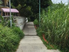 iphone_upload_pic-南丫岛