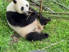 -沈阳森林动物园