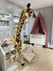 -国际蓝孩BabyInternational(杭州嘉里中心店)