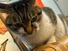 -铜瓢江湖兔火锅(水碾河社区店)