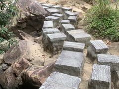 -广州白江湖森林公园