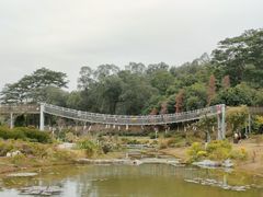 -东莞植物园